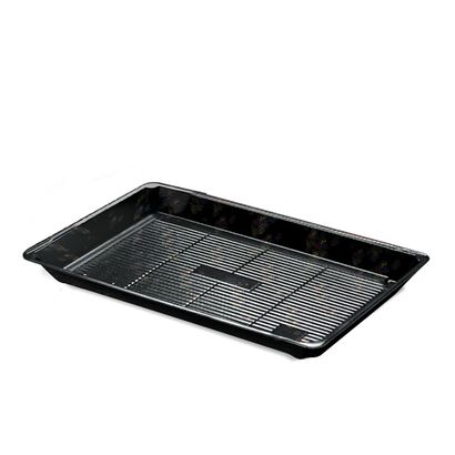 sushi2_liso_gd sushi2_liso_gd