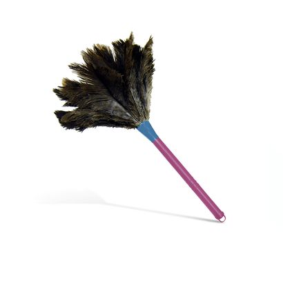 16758_rosa 16758_rosa