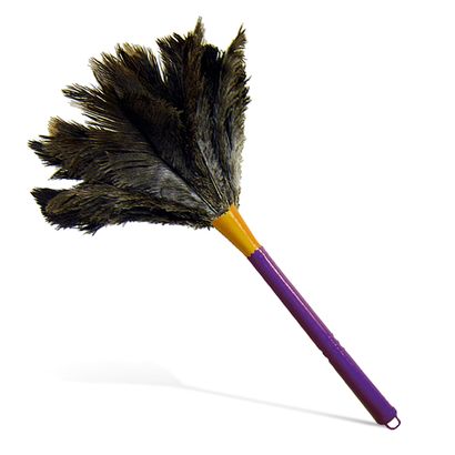 16753_roxo 16753_roxo