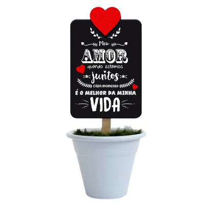 vaso-meu-amor vaso-meu-amor